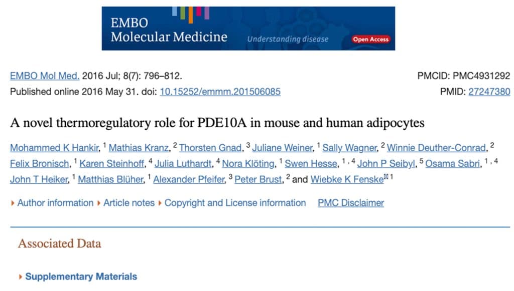 Thermoregulatory role for PDE10A in mouse & human adipocytes