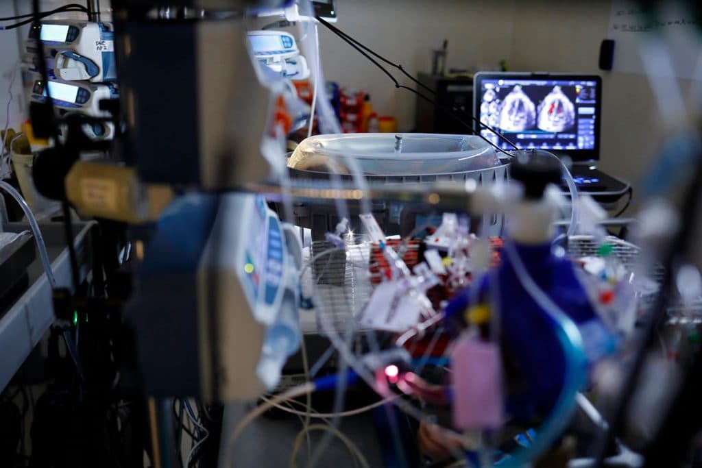 Gas Mixer for Fetal Research