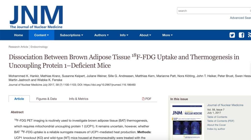 JNM – Scientific Paper – Brown Adipose Tissue