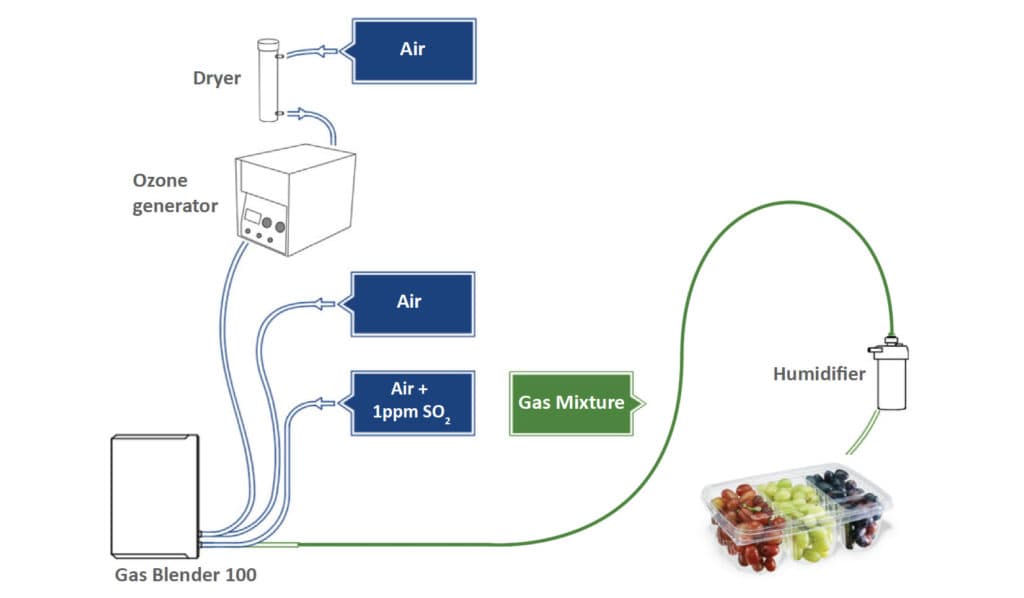 Gas Mixer for Modified Atmosphere Packaging