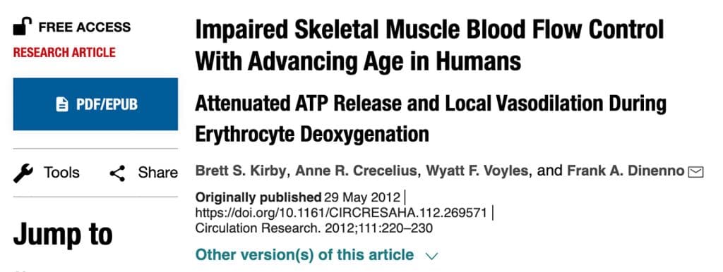 AHA Journals - Scientific Paper - Muscle blood flow control