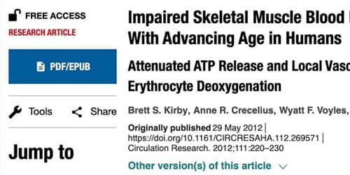 AHA Journals - Scientific Paper - Muscle blood flow control
