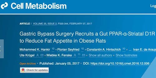 CELL METABOLISM – Scientific Paper – Pathway to Reduce Fat Appetite