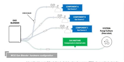 Gas Mixer for Fungi Cultures Studies