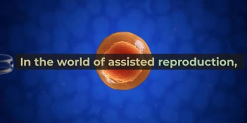 Gas Mixer for In Vitro Fertilization: Cultivating New Beginnings