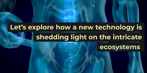 Gas Mixer for Microbiome Research: The Microbial Universe