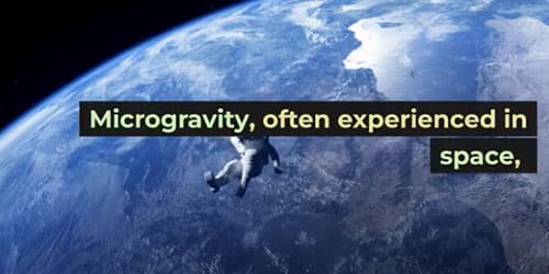 Gas Mixer for Microgravity Research