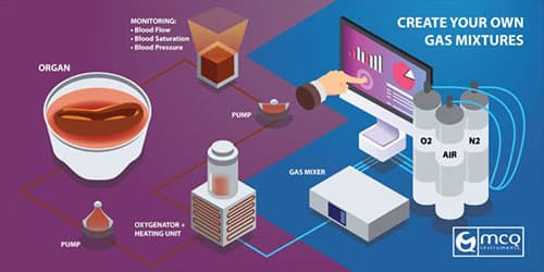 Gas Mixer for Organ Perfusion Systems and ECMO