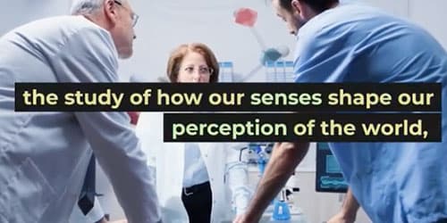 Gas Mixer for Sensory Research: The Science of Perception