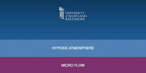 Gas Mixer for Hypoxic Atmosphere - University Maryland Baltimore