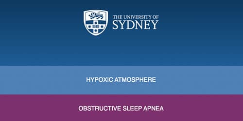 Gas Mixer for Hypoxic Atmosphere - University Sydney