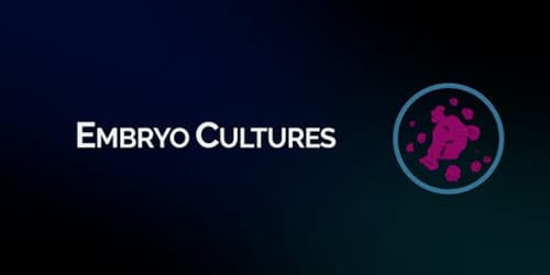 Gas Mixer for In-Vitro Embryo Cultures