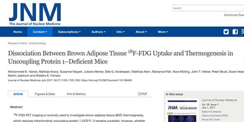 JNM – Scientific Paper – Brown Adipose Tissue