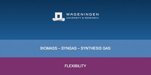 Gas mixer for Preparing Syngas Mixtures - Wageningen University