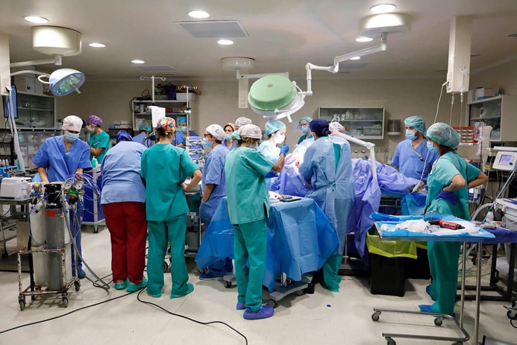 Gas Mixer for Fetal Research