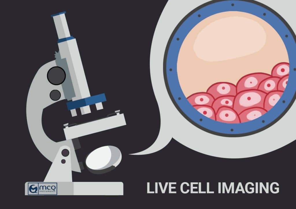 Live Cell Imaging Microscope Incubator
