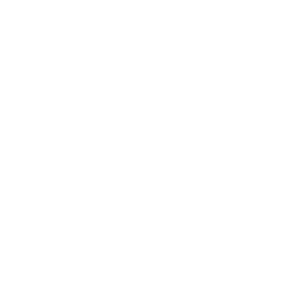 Logo CNR INO