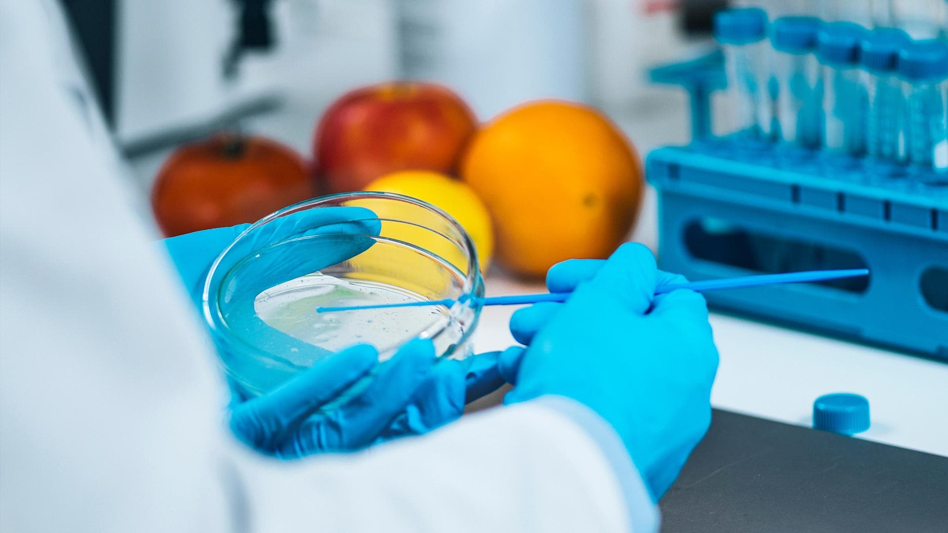 Controlled Gas Environments for Microbiology Research