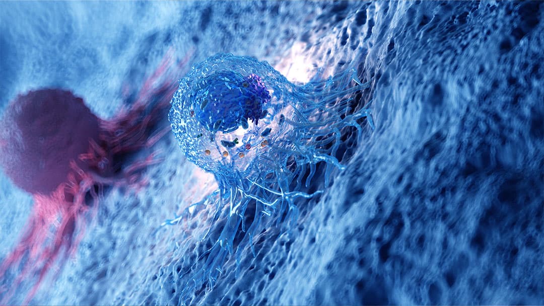 Gas Mixers for Differential Oxygenation in Tumour Microenvironment Studies