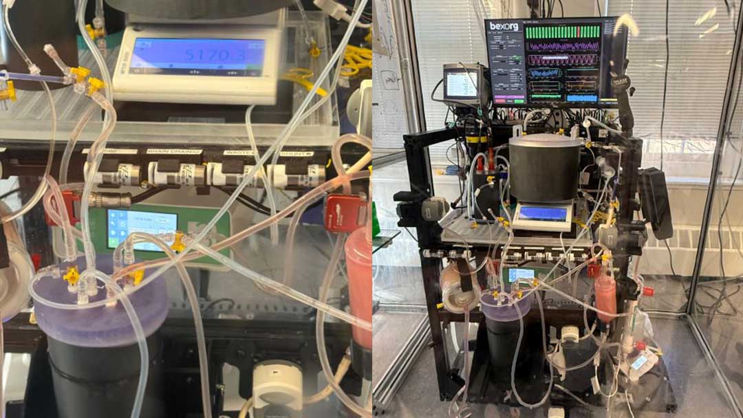 Gas Mixer for Ex Vivo Human Brain Perfusion — Bexorg