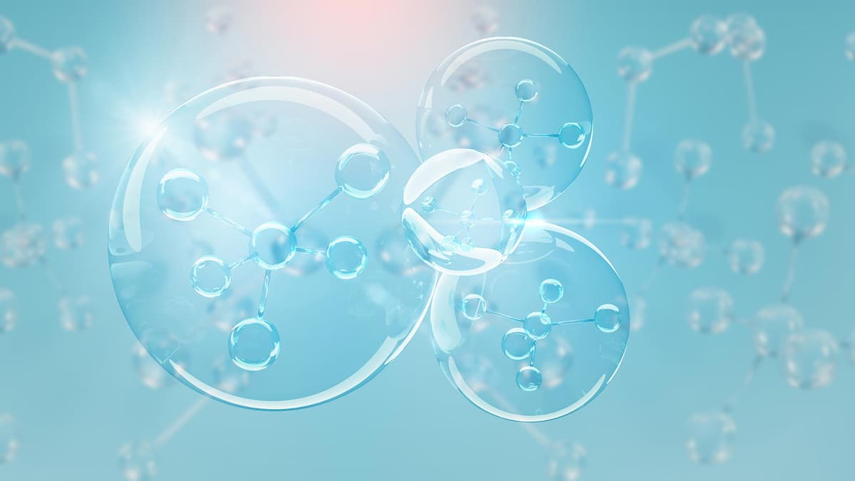 Gas mixers for Hypoxia Studies