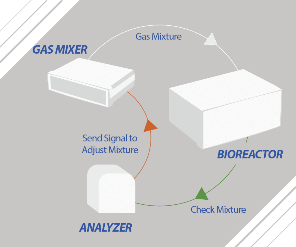 Feedback control case 1