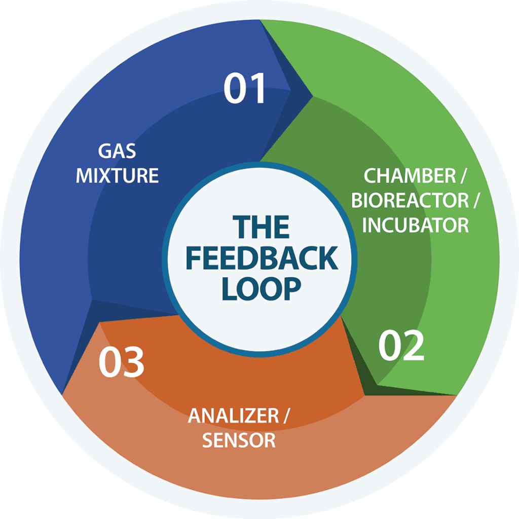 The Loop Benefits