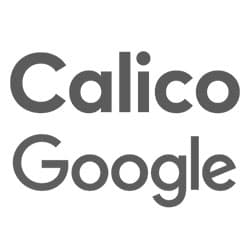 Logo Reference Calico Google
