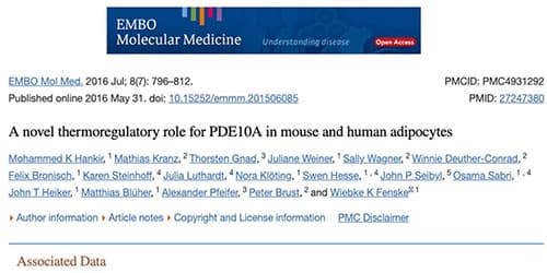 Thermoregulatory role for PDE10A in mouse & human adipocytes