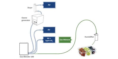 Gas Mixer for CA MAP Fumigation