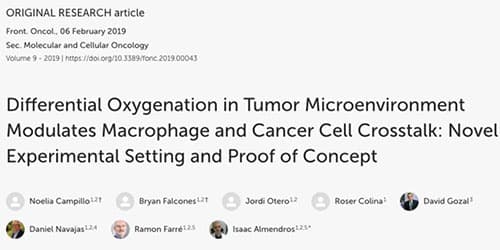 Differential Oxygenation in Tumor Microenvironment