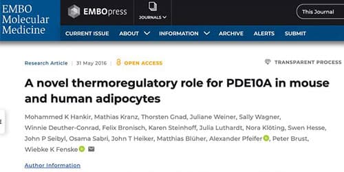 EMBO PRESS – Scientific Paper – Treatment of Obesity and Diabetes
