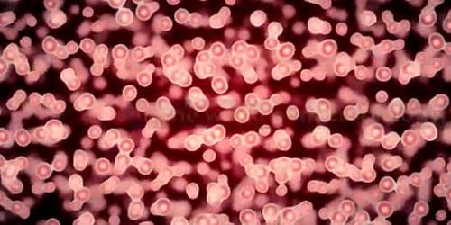 Gas Mixer for Biofilm Studies: Microbial Communities