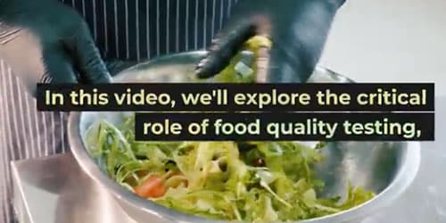 Gas Mixer for Food Quality Testing: Elevating Standards