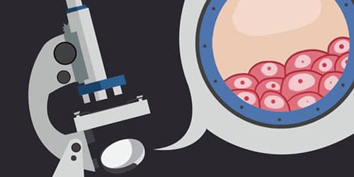 Gas Mixer for Live Cell Imaging – Microscope Incubator