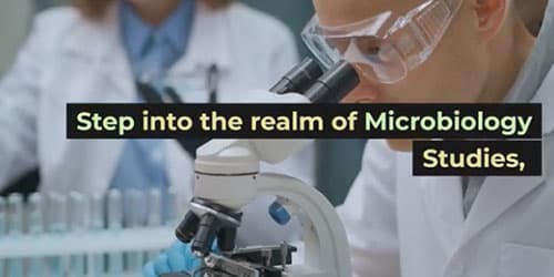 Gas Mixer for Microbiology Studies: Microbial Environments