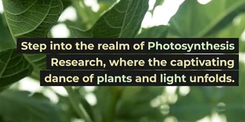Gas Mixer for Photosynthesis Research: The Secrets of Plant Growth