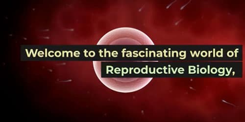 Gas Mixer for Reproductive Biology: The Path to a New Life