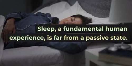 Gas Mixer for Sleep Research