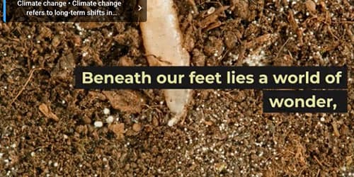Gas Mixer for Soil Respiration Studies: The Earth's Hidden Breath