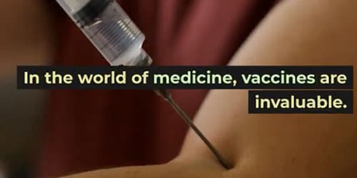 Gas Mixer for Vaccine Storage Testing: Vaccine Efficacy and Safety