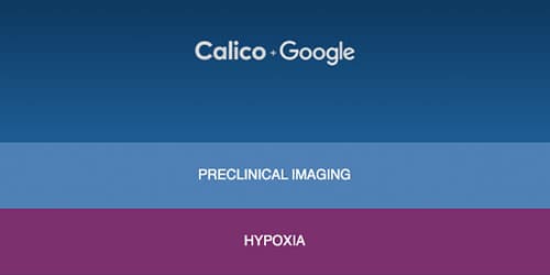 Gas Mixer for Hypoxia in Preclinical Imaging - Google Calico