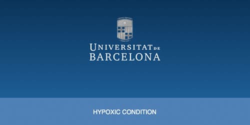 Gas Mixer for Hypoxic Condition - Universitat Barcelona