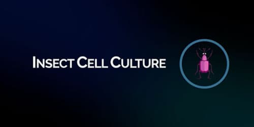 Gas Mixer for Insect Cell Culture